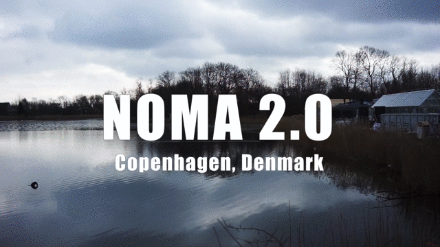 米其林三星餐厅 NOMA 2·0-25