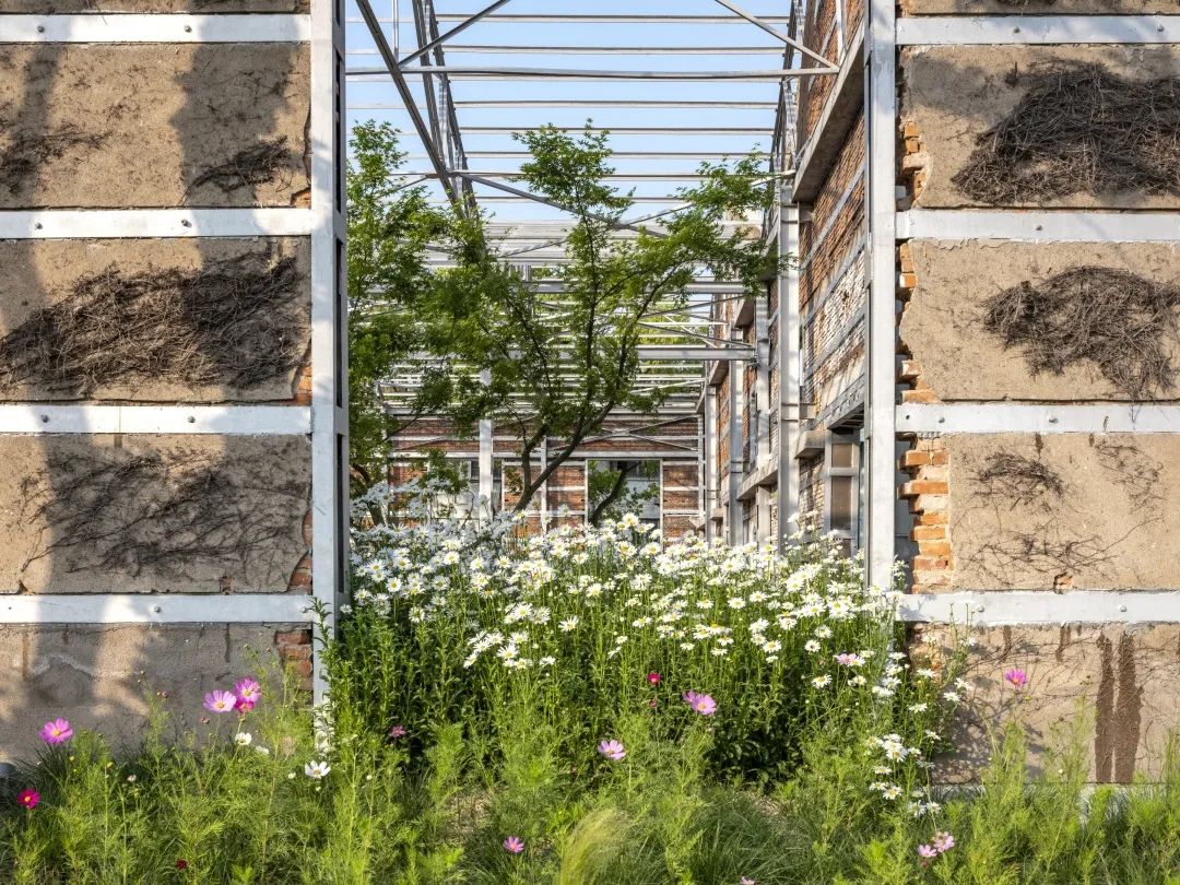 杨树浦六厂滨江公共空间更新·电站辅机厂东厂丨中国上海丨刘宇扬建筑事务所-126