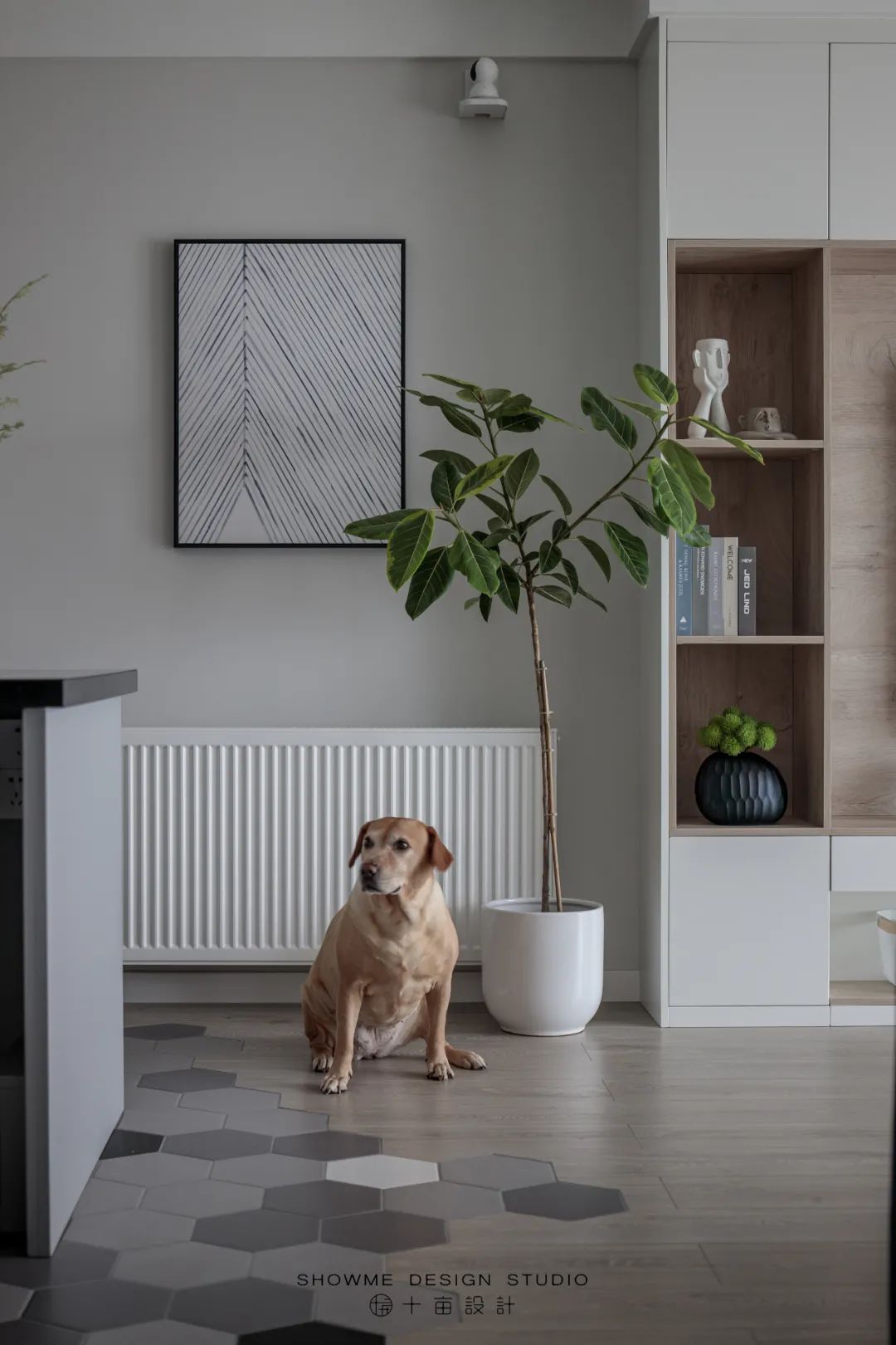 十亩 × 作 / 仲夏柠叶香-19