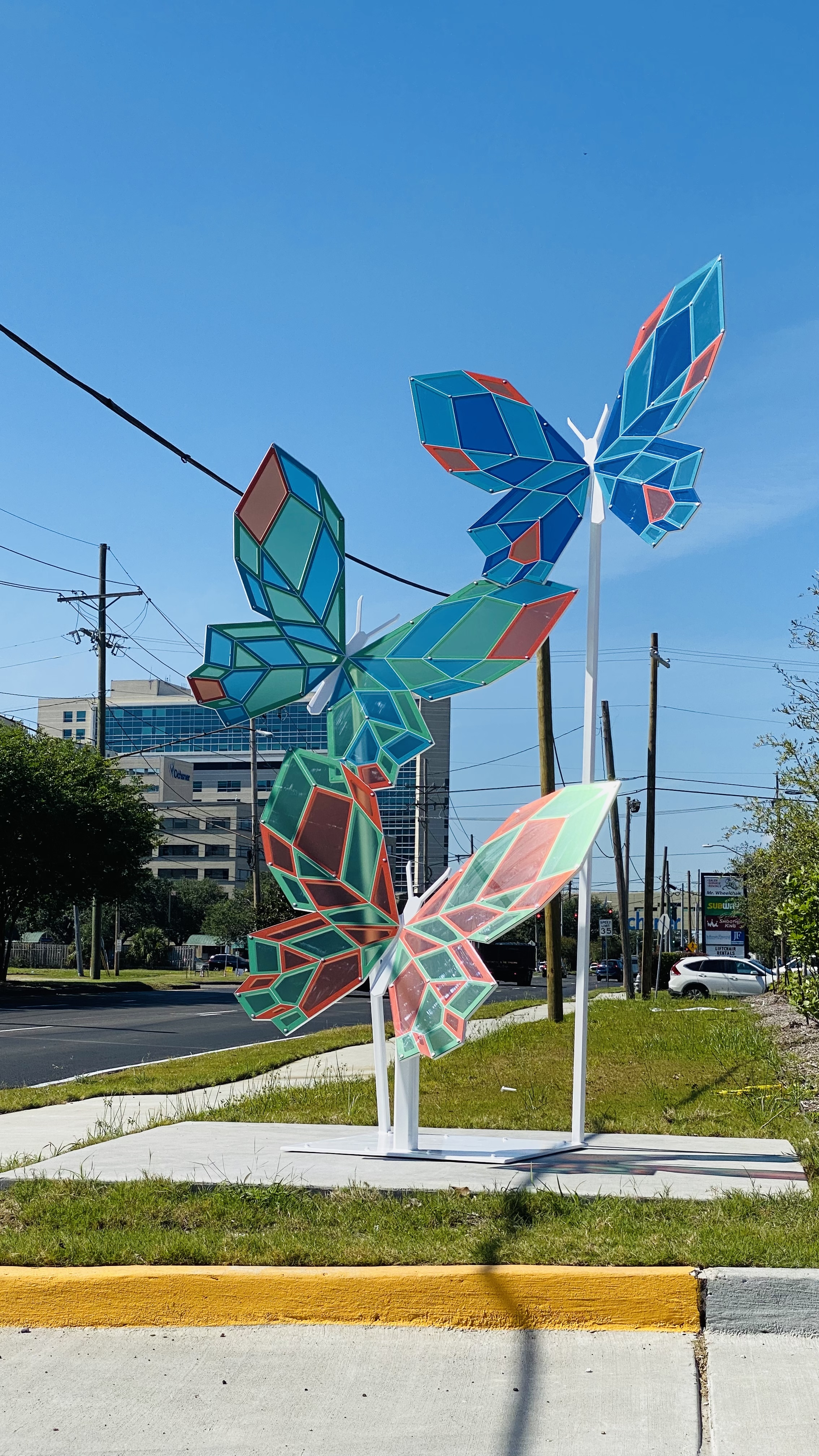 Butterflies - Ochsner Medical 2021-0