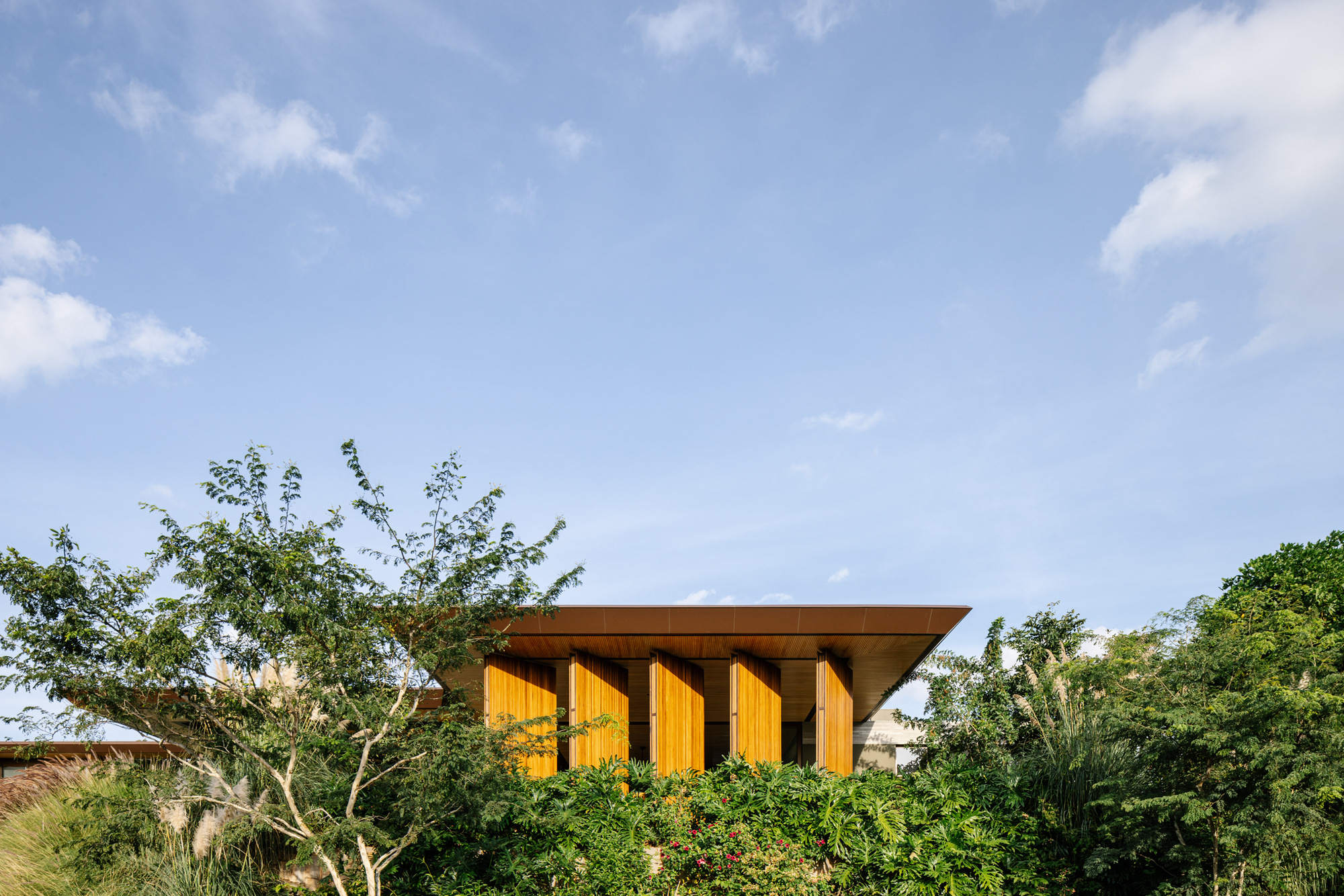 LSK 巴罗内萨宅邸丨巴西圣保罗丨Gálvez & Márton Arquitetura-17