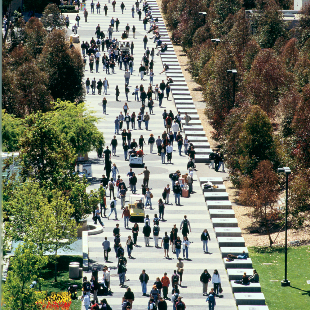 Civic Landscapes — PWP-35