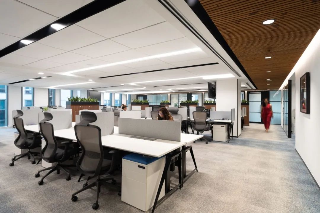 印度瑞士宝盛财富管理集团办公空间丨Space Matrix 团队-10