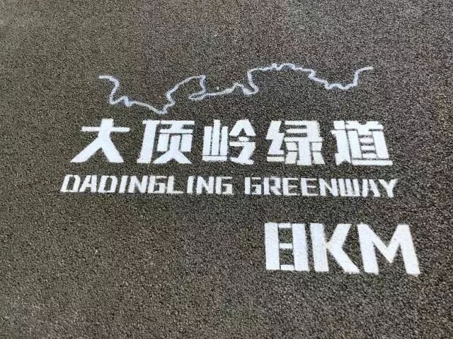 深圳最美绿道丨森林悦跑等你来-30