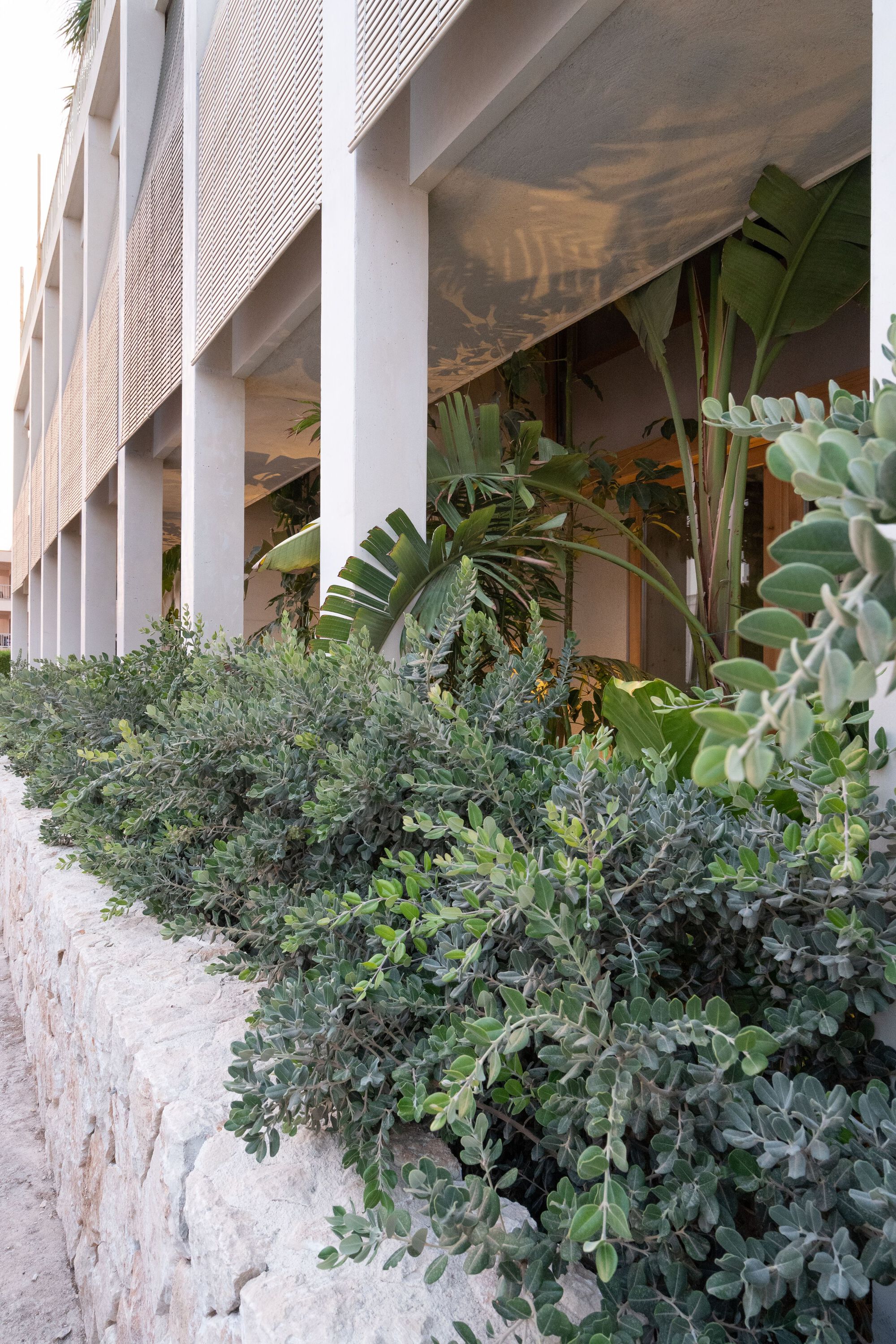 纳米米屋丨西班牙丨company studio-30