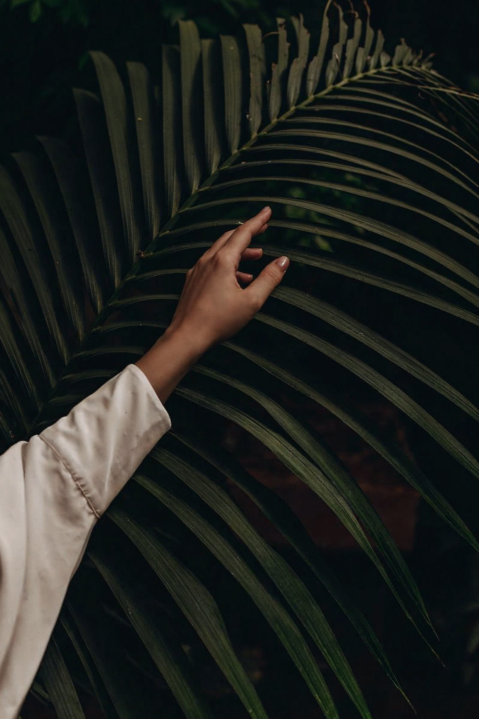 The Serene Desert Villa in UAE S-032-14