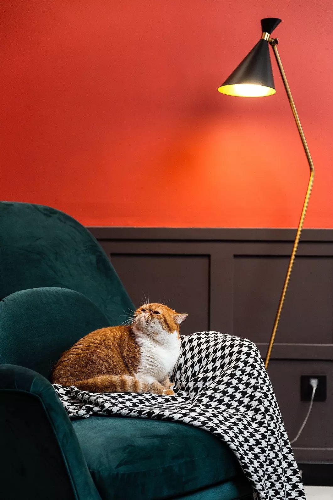 精致生活空间设计 | 一人独居的梦想家园-80