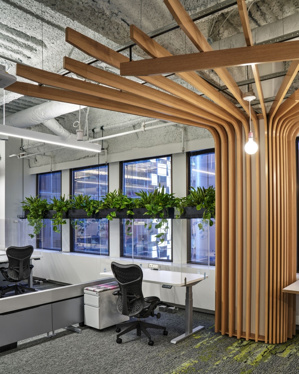 自然元素融入科技公司办公室设计丨美国丨ASD | SKY-27