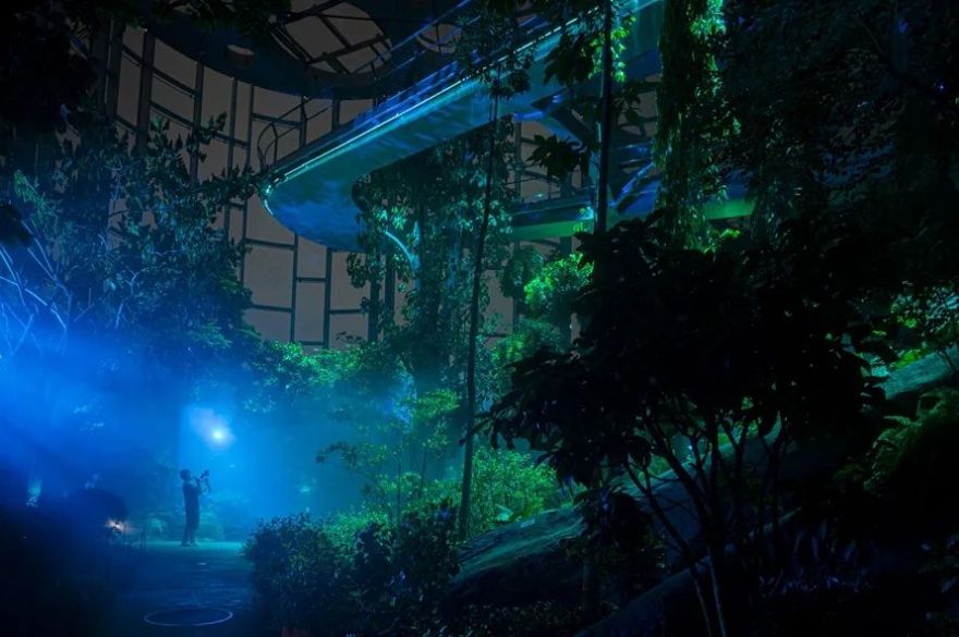 世博文化园温室植物园夜游照明设计丨RDI瑞国际照明设计-9