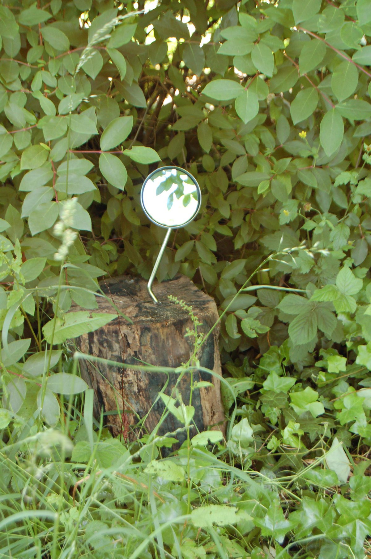 Camden Art Centre花园自然步道项目丨英国伦敦丨Erect Architecture-18