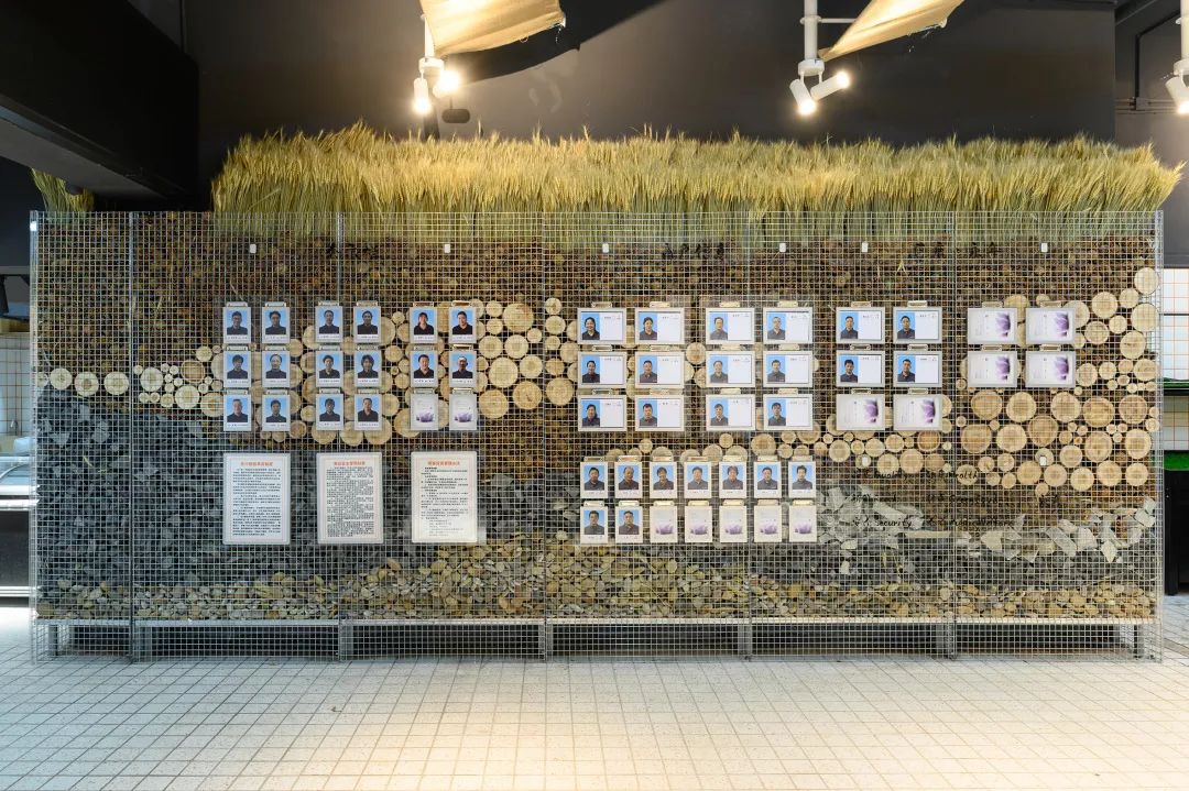 永年菜场的"城市乡野"更新-122