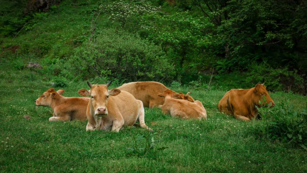 “薪火”天文台丨中国陕西丨安哲建筑-24