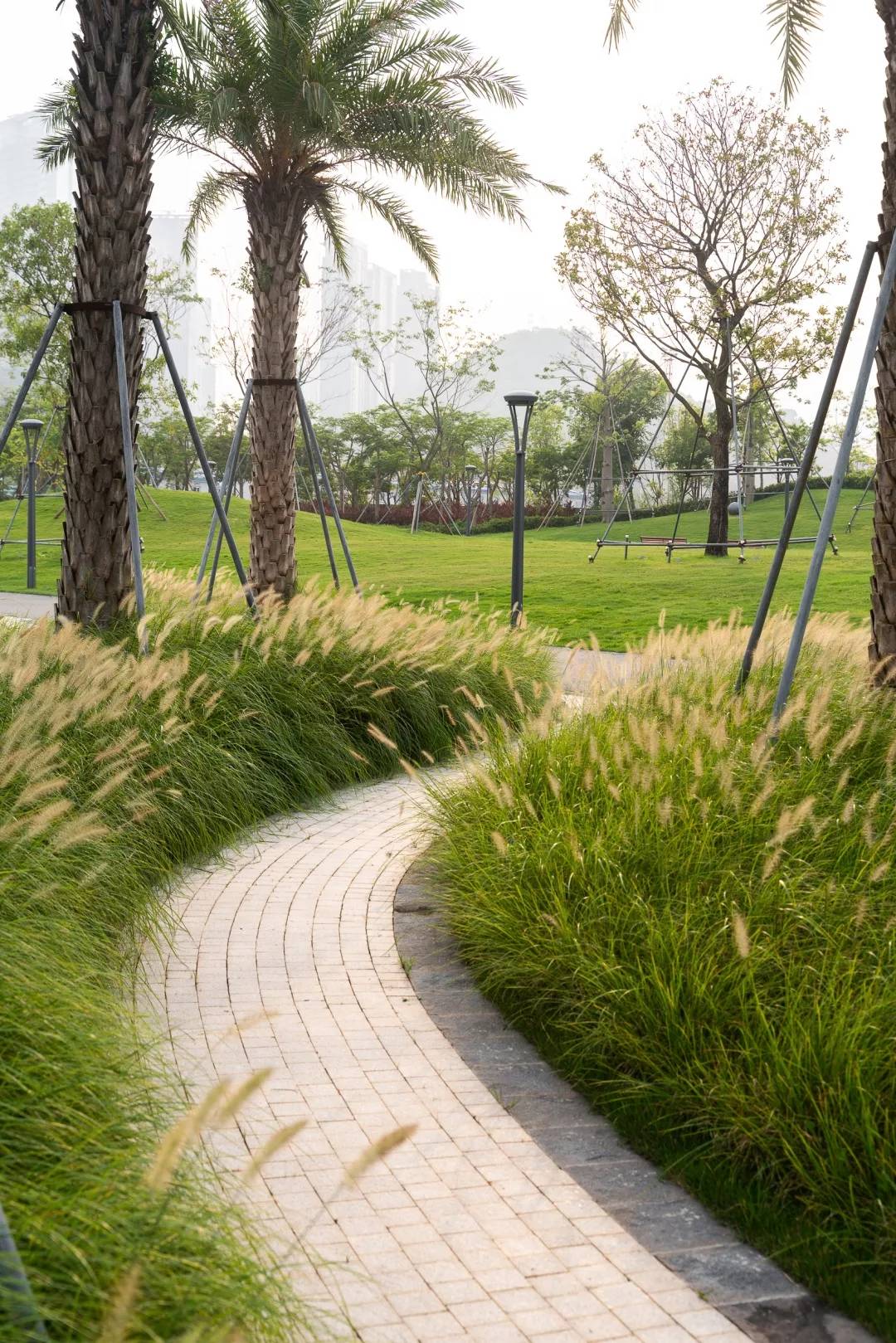 深圳湾蛇口休闲带景观-47