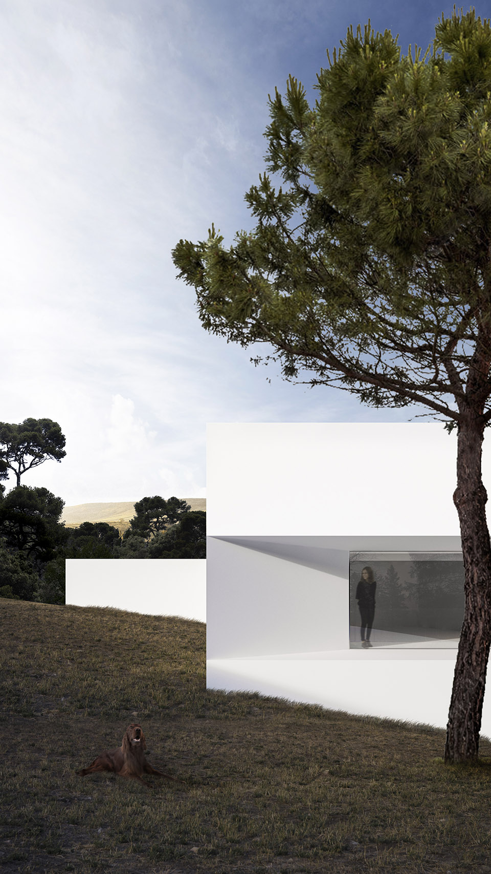 FABABU 住宅丨西班牙丨Fran Silvestre Arquitectos-8