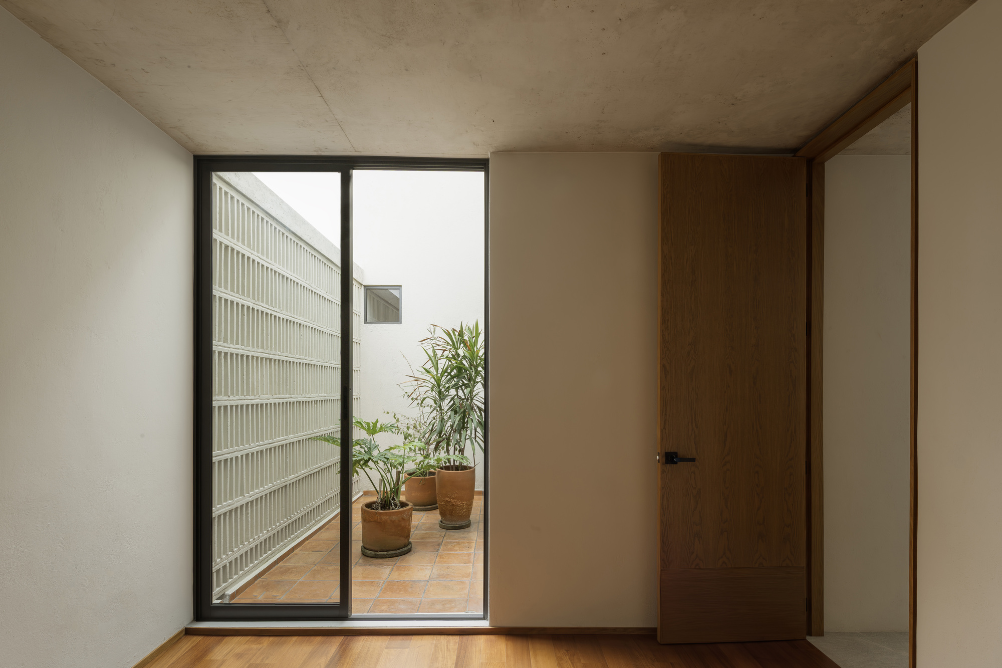 瓦拉塔森林别墅丨墨西哥丨Díaz Webster Arquitectura-14