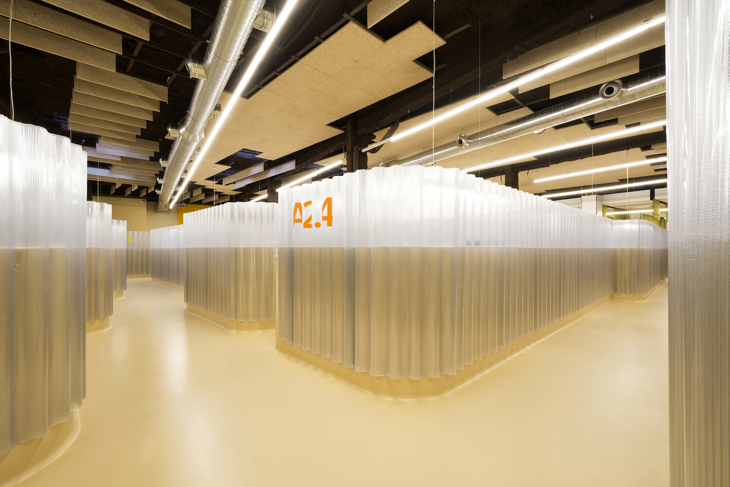 CEU San Pablo 大学多学科诊所 · 有机曲线与功能布局的融合-25