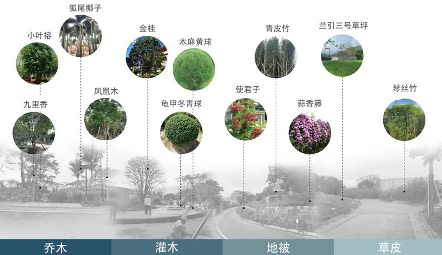 深圳万科·天琴湾景观提升设计丨中国深圳丨GND杰地景观深圳市格恩建筑景观设计有限公司-63