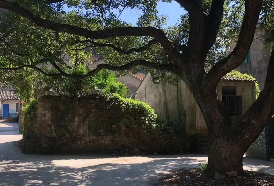 博仁设计|宁海民宿 · 漫步天地间,心驰山野林-10