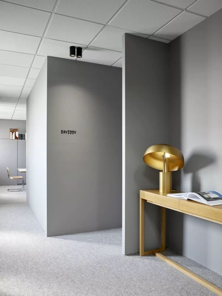 Davidov Architects | 住宅与公共概念的融合-15