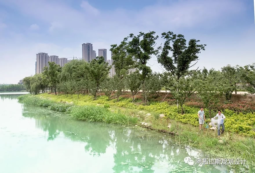 苏州科技城中央公园-81