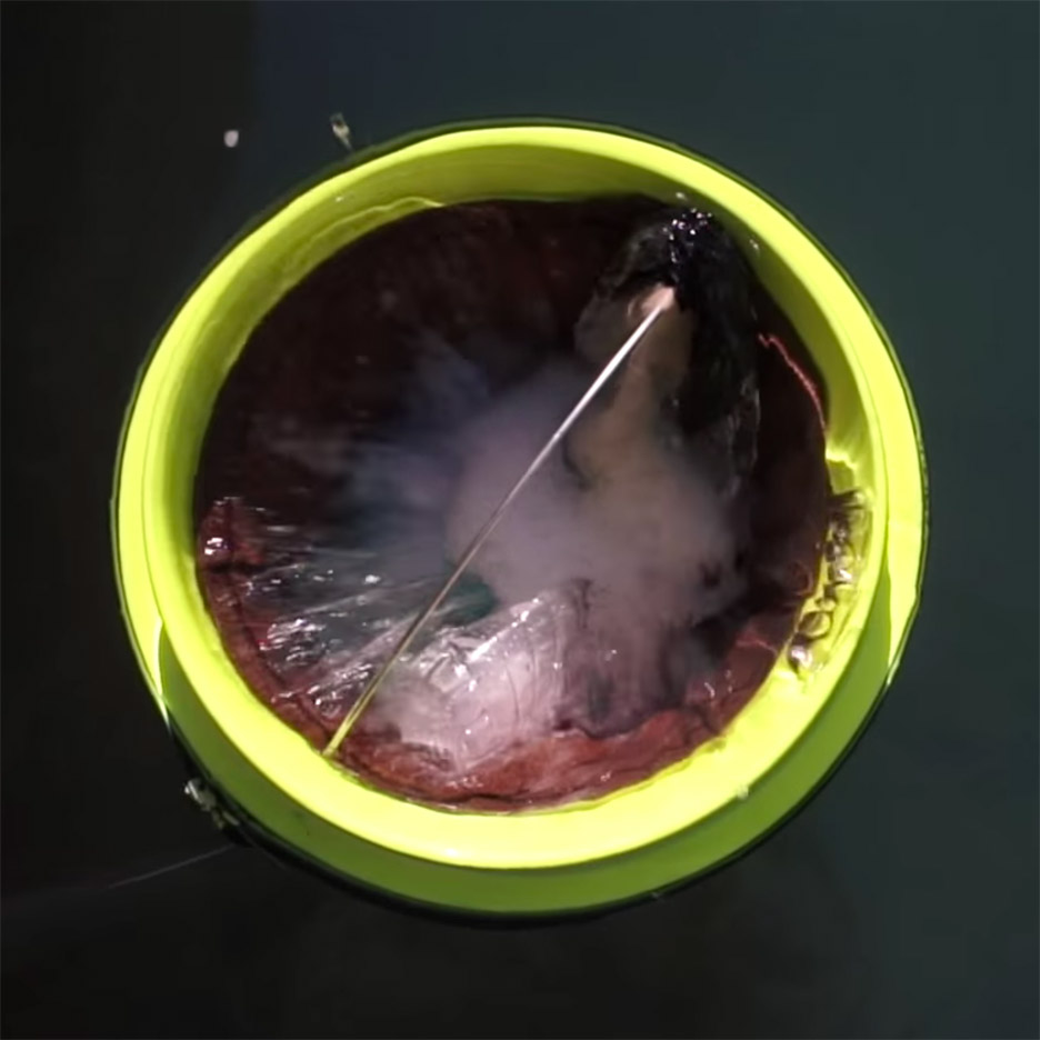 环保设计新篇章 | 10 个可持续替代品引领未来趋势-8