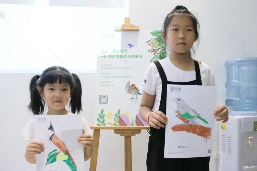 茏腾·探秘自然·鸟类涂鸦之旅-25