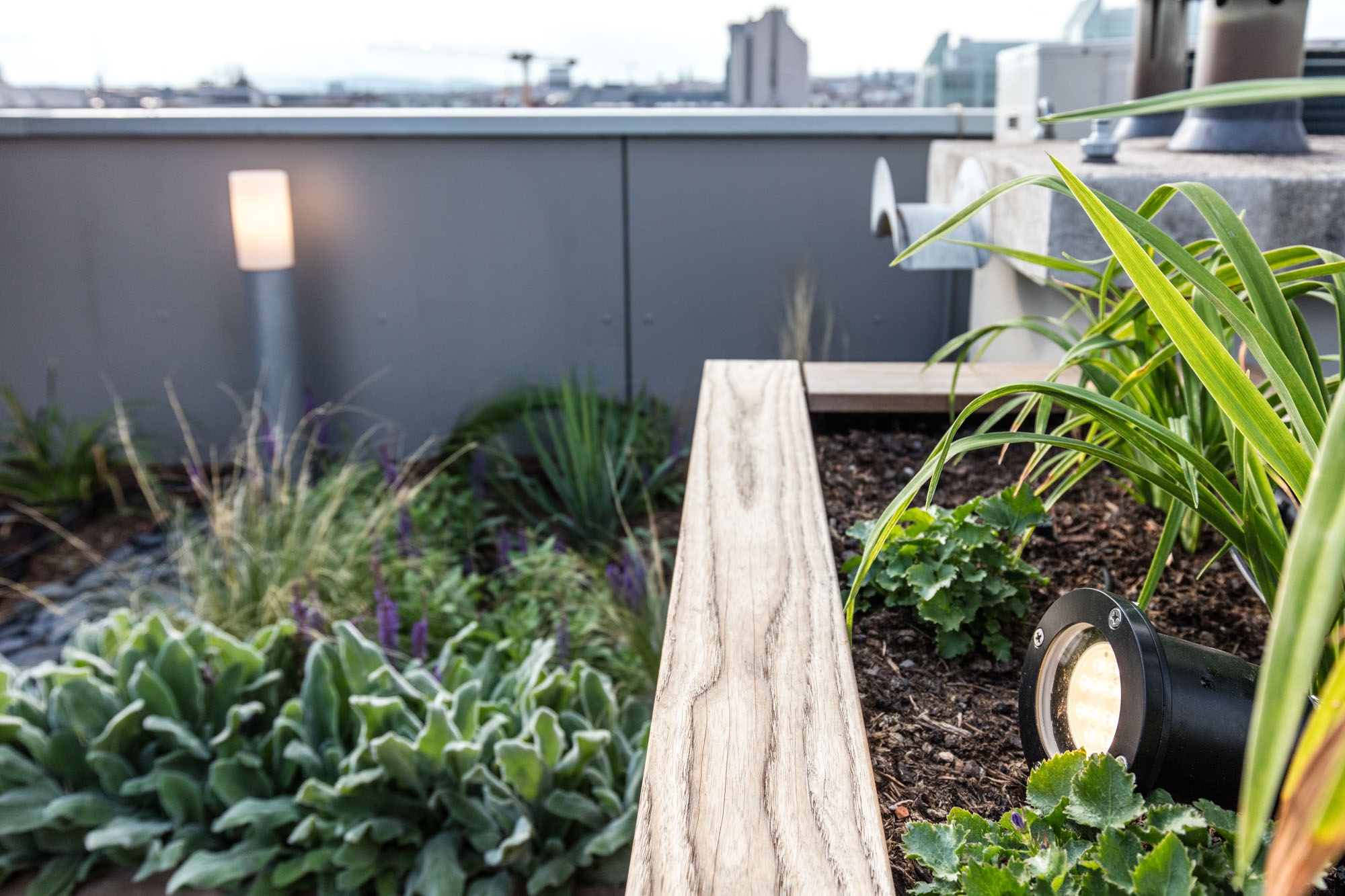 屋顶平台重新设计-8