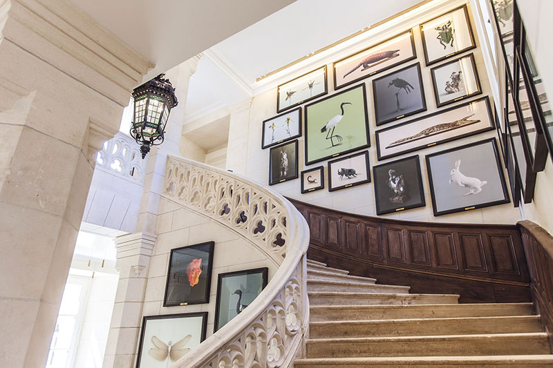 法国 11 世纪古堡酒店，品酒赏艺尽享法式浪漫-21