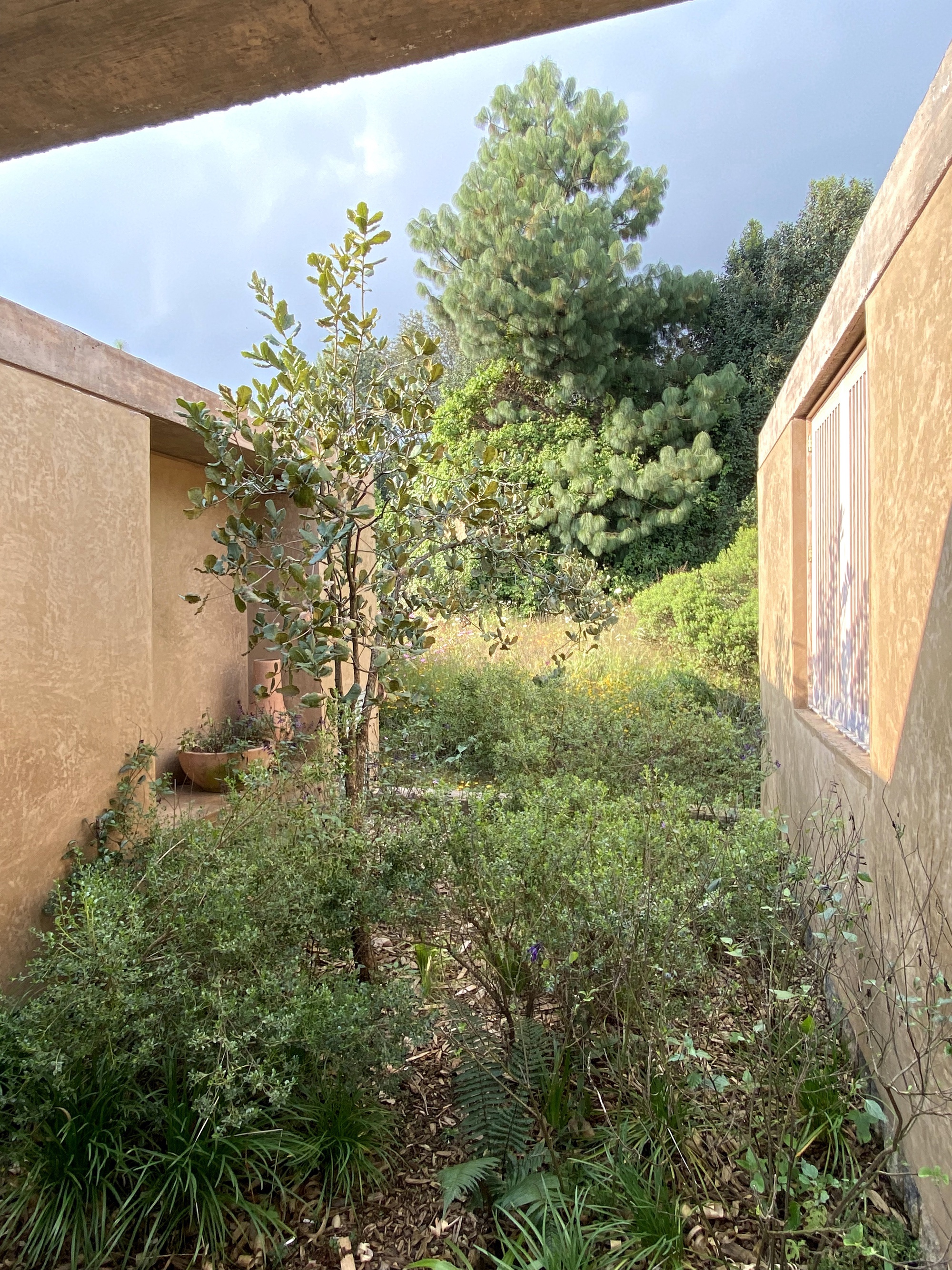 丨墨西哥丨Claudia Rodriguez,Louise Rouzaud-30