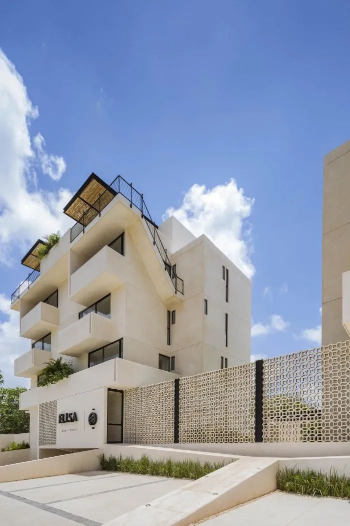 Elisa Wow 公寓丨墨西哥丨Live Desarrollos-24