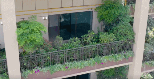 第四代住房「垂直森林」来了,竟在中国遍地开花!网友:蚊子太多,住不起......-189