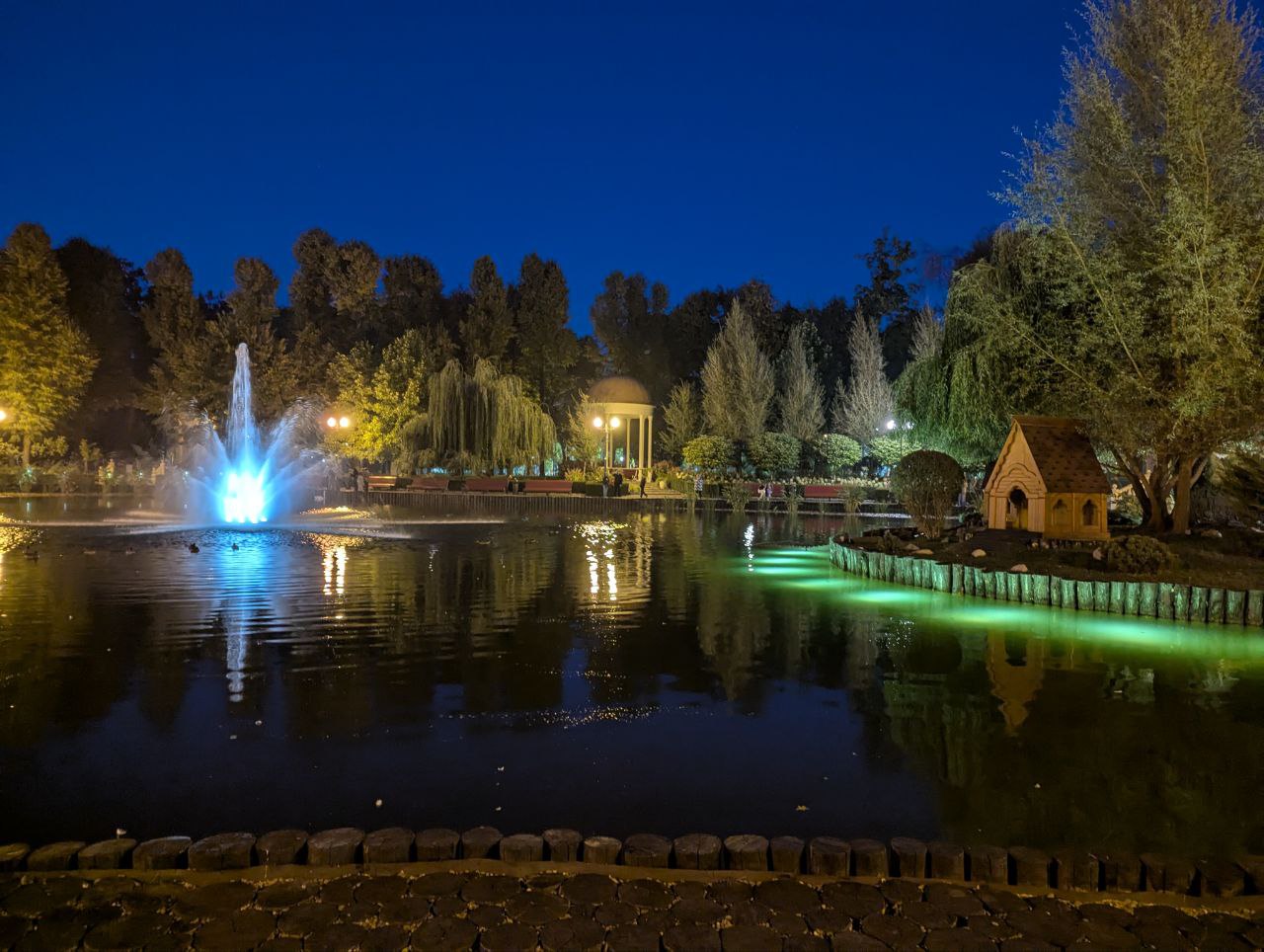 世界上的树木丨Sylvie D.-193