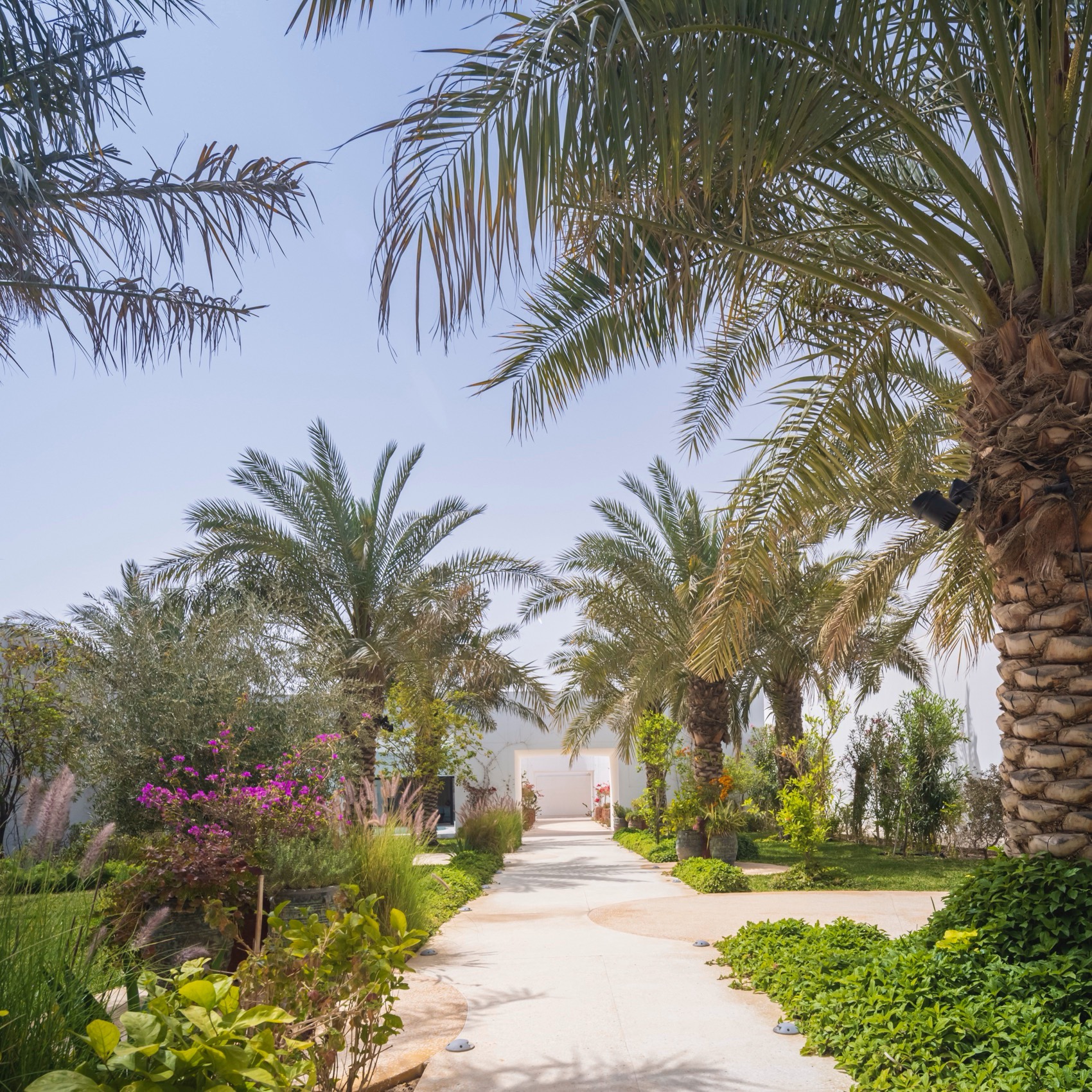 白色堡垒住宅丨TAEP,AAP-21