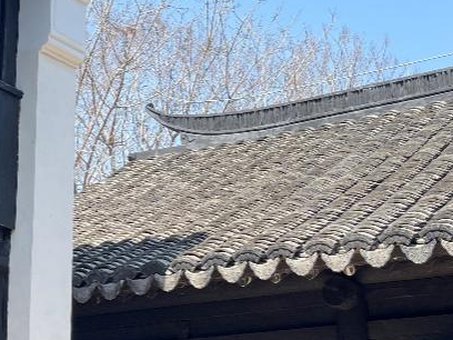 科技创新｜松江仓城历史文化风貌区修缮技术研究-79