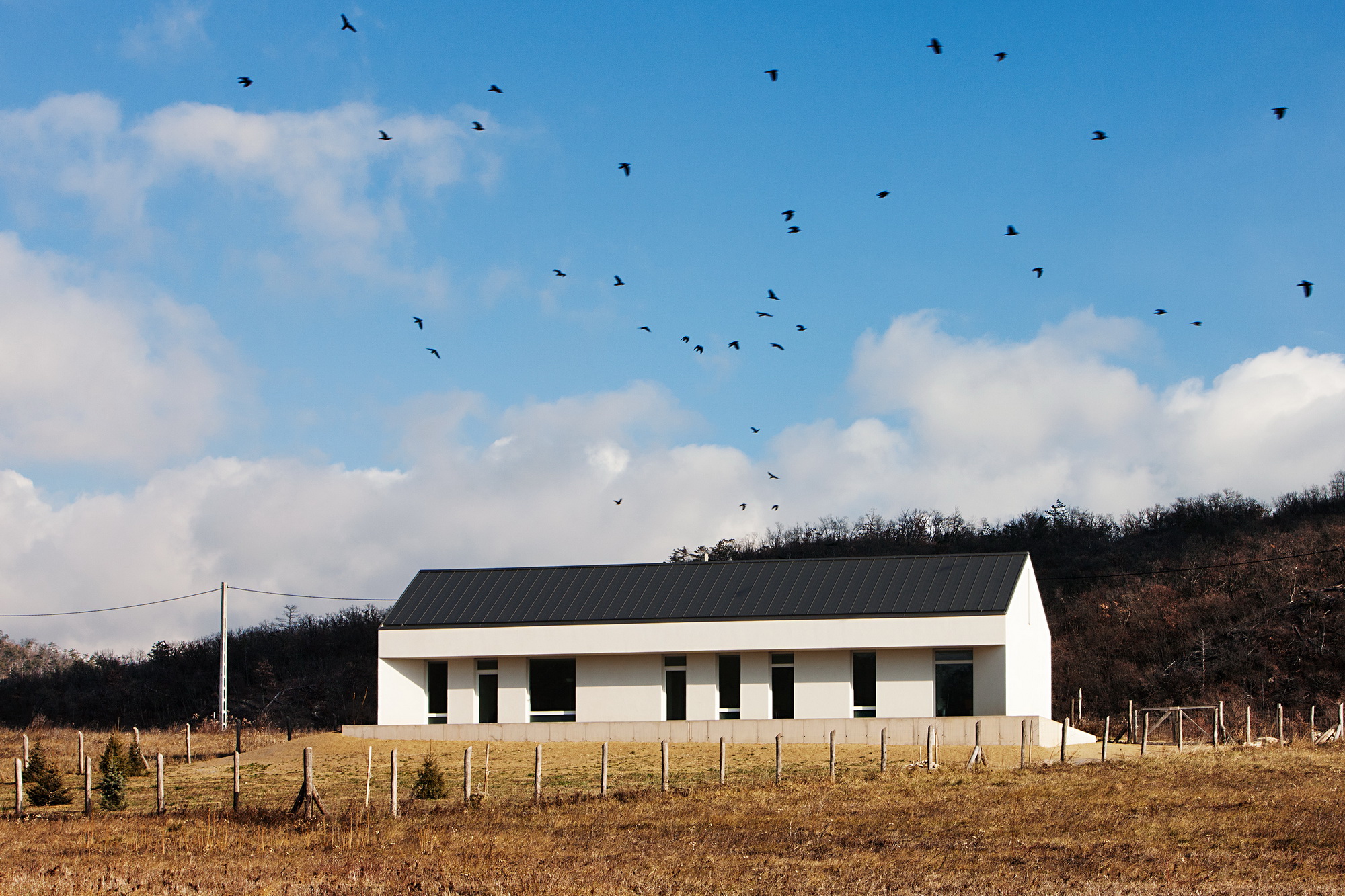 巴拉通格约克传统葡萄园区私人住宅设计-8