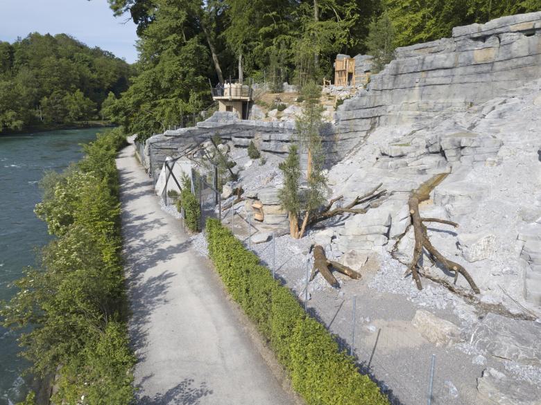Weber + Brönnimann Landschaftsarchitekten AG丨«Aare-Alpen» Steinwildanlage Tierpark Dählhölzli丨瑞士-18