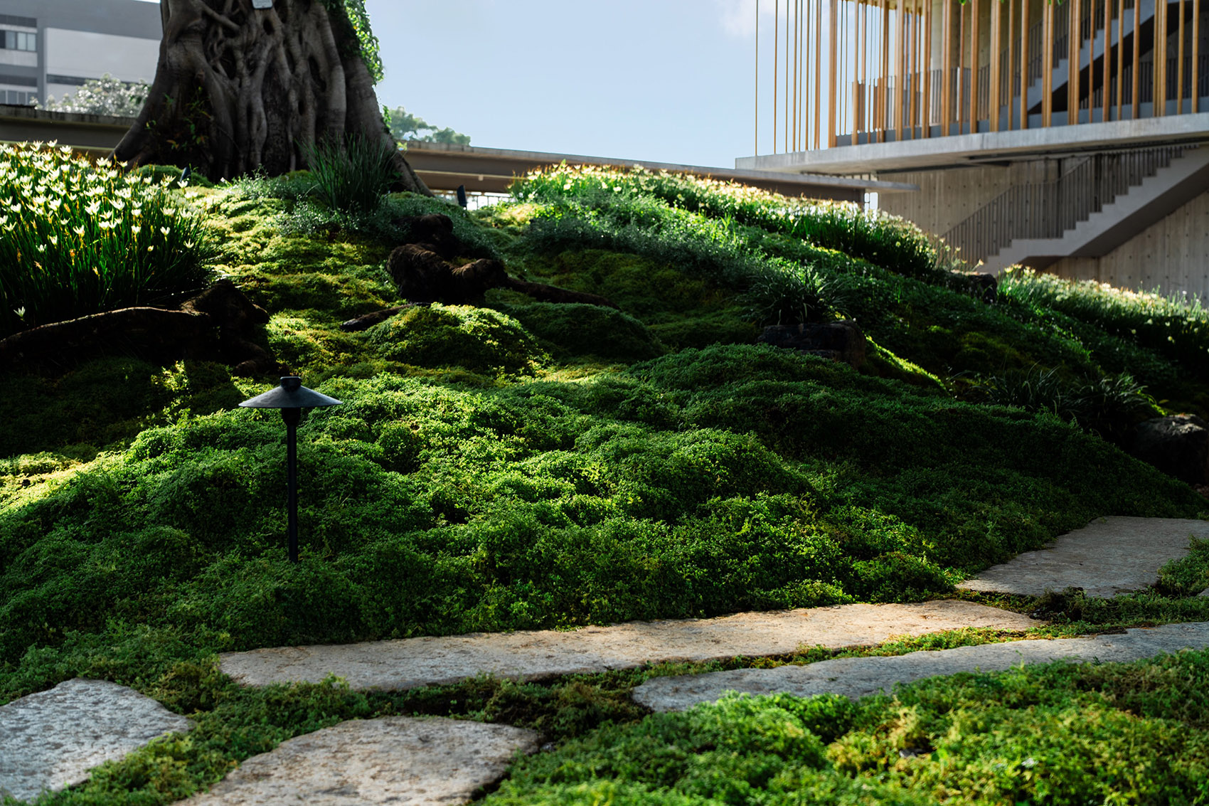 宝华智造产业园丨中国佛山丨成都无囿景观设计有限公司,佛山至岸园林-17