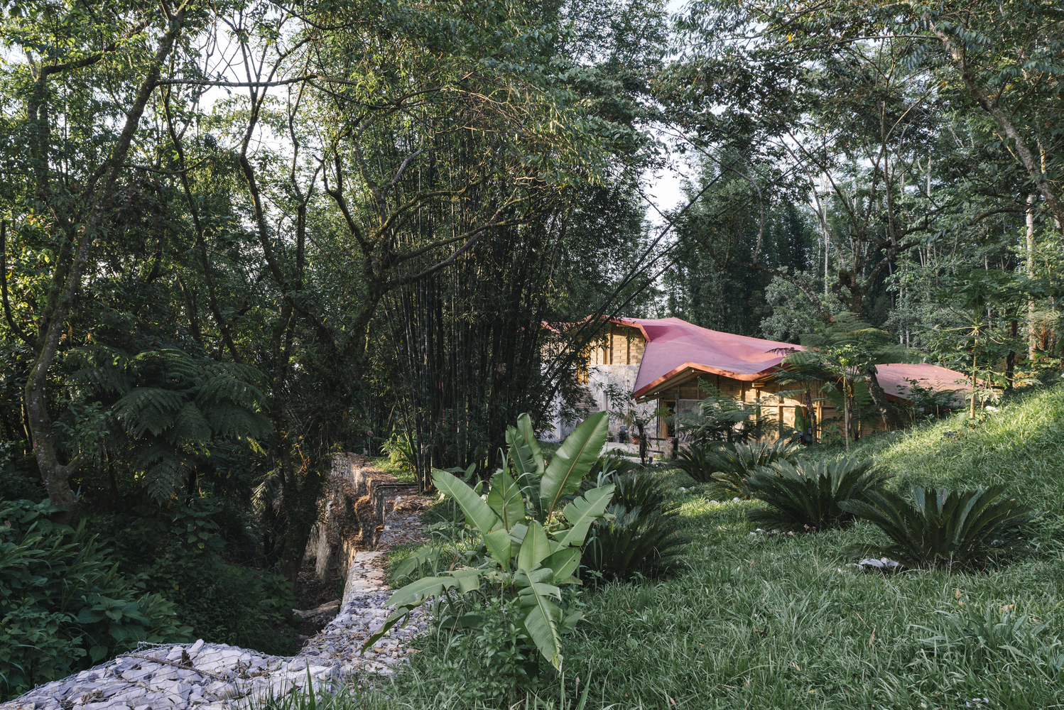 墨西哥生态旅游综合体托塞潘卡利 hostel 设计-50