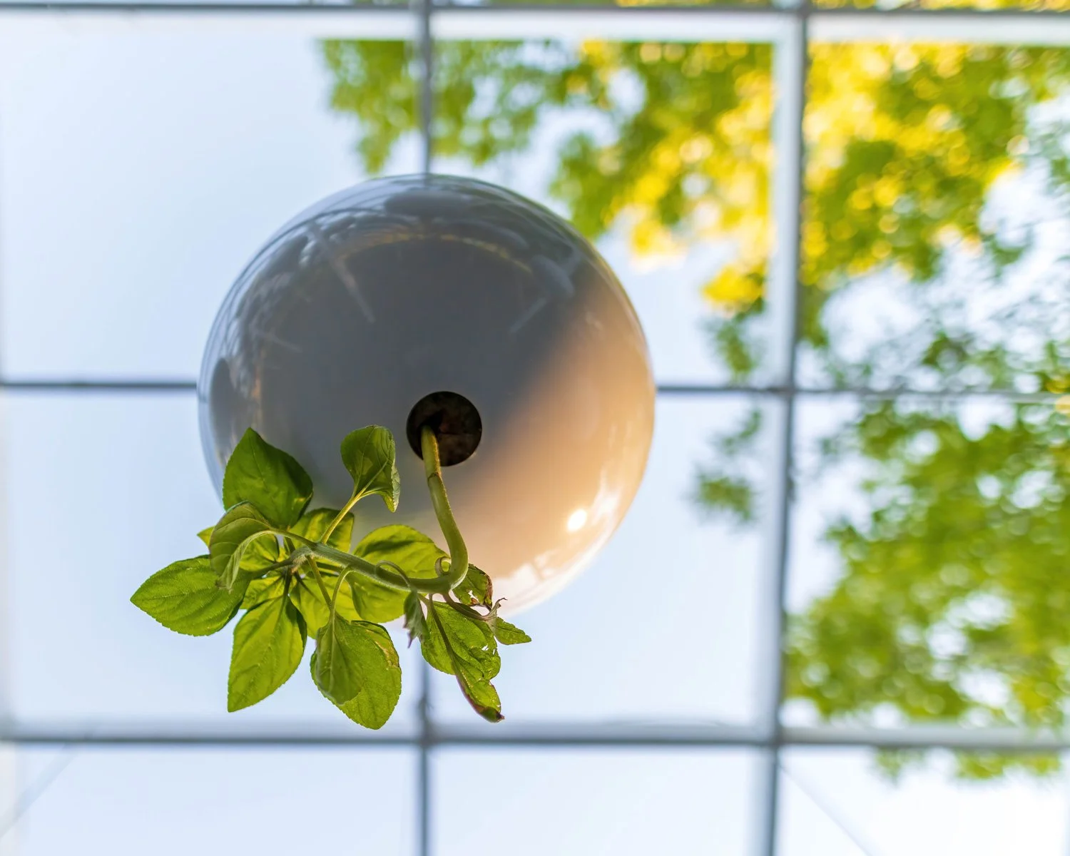 地形工作重力场-4