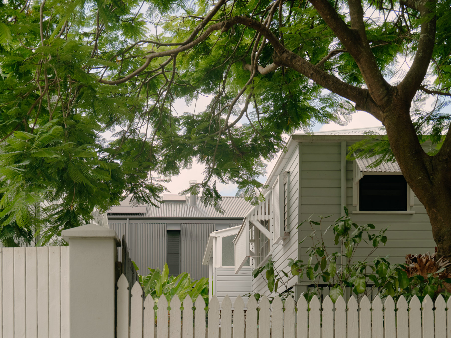 库珀罗之家丨澳大利亚丨Nielsen Jenkins-34