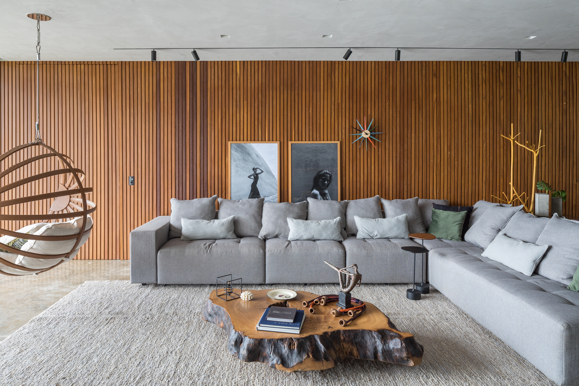 巴西利亚别墅设计-16