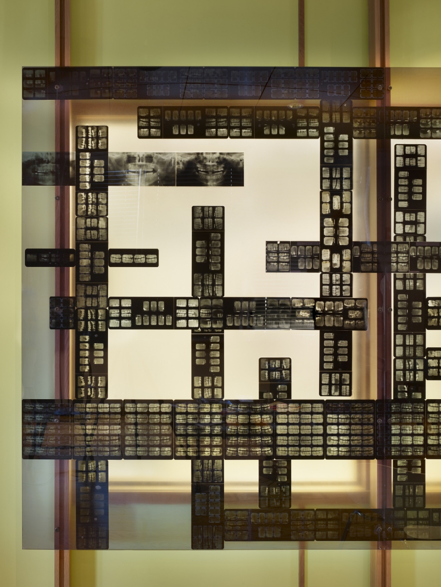 Chestnut Hill Dental 诊所-12