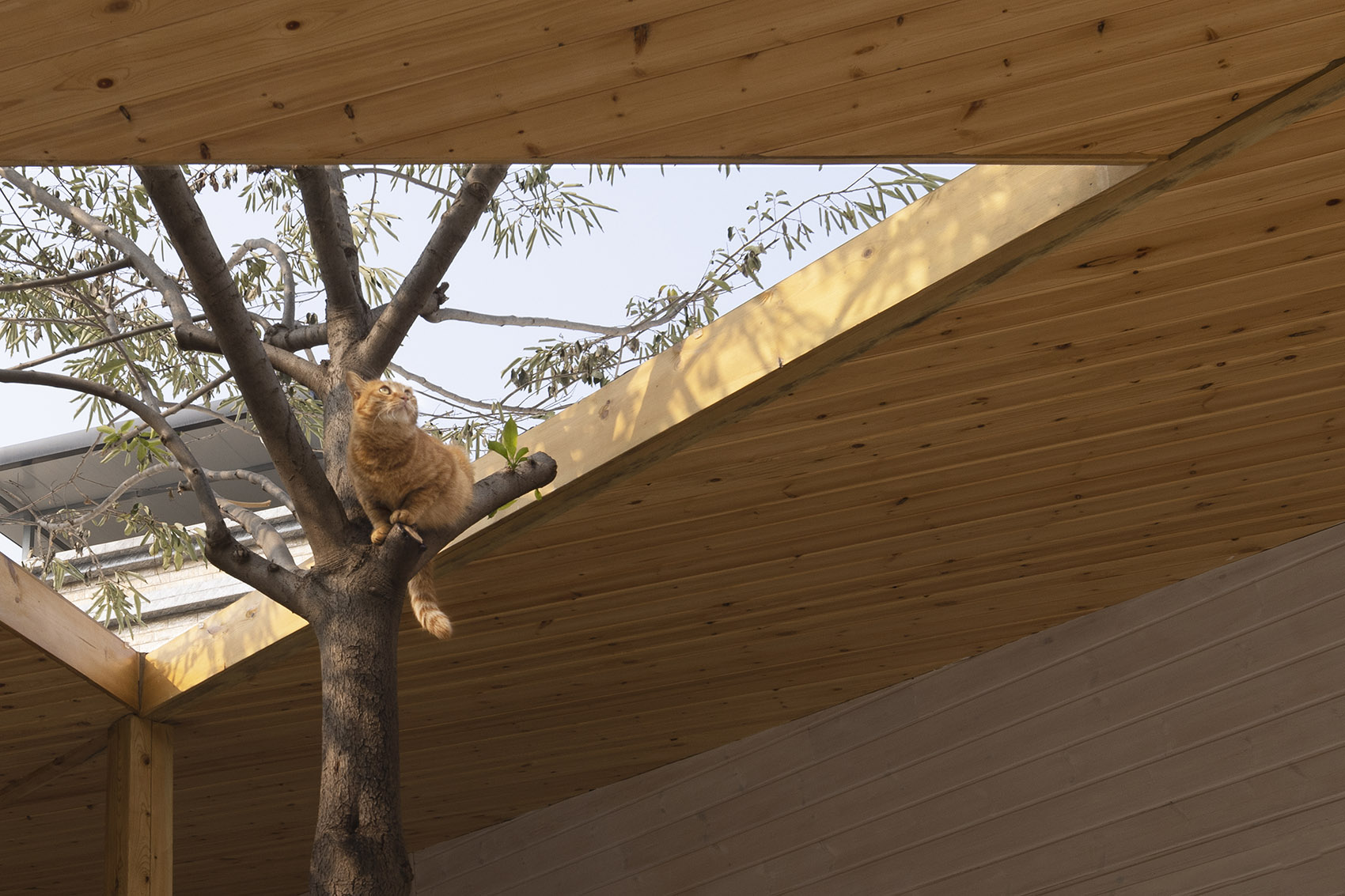 Earth Sign土象咖啡馆丨中国西安丨即时设计研究所-47