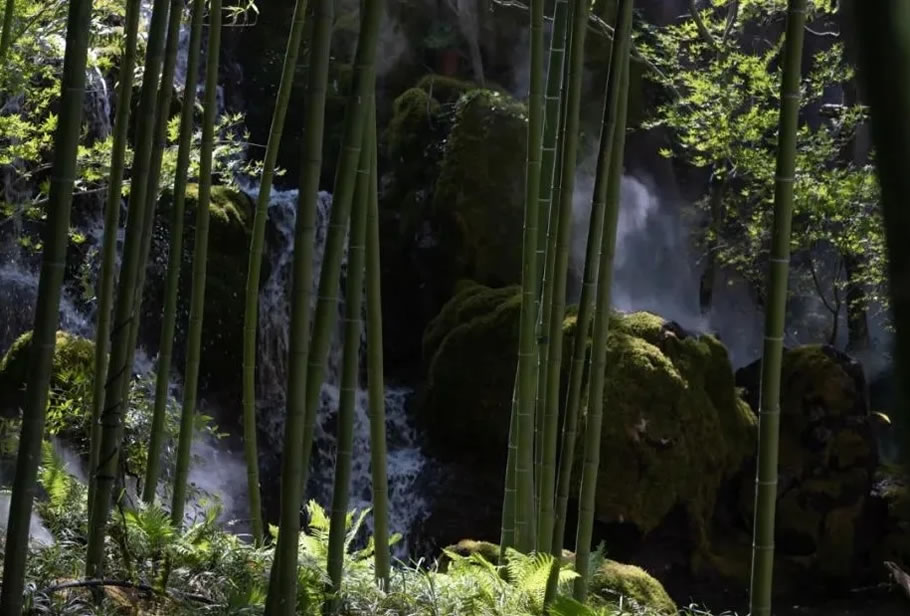 崂山壹号院丨中国辽阳-36