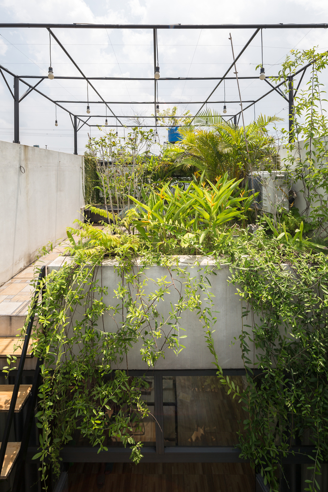 无损检测薄层色谱法之家-37