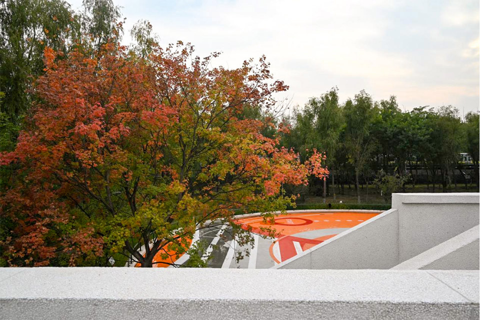 奥北森林公园二期景观及景观建筑系列丨中国北京丨北京北林地景园林规划设计院有限责任公司,北林风景建筑研究中心-101