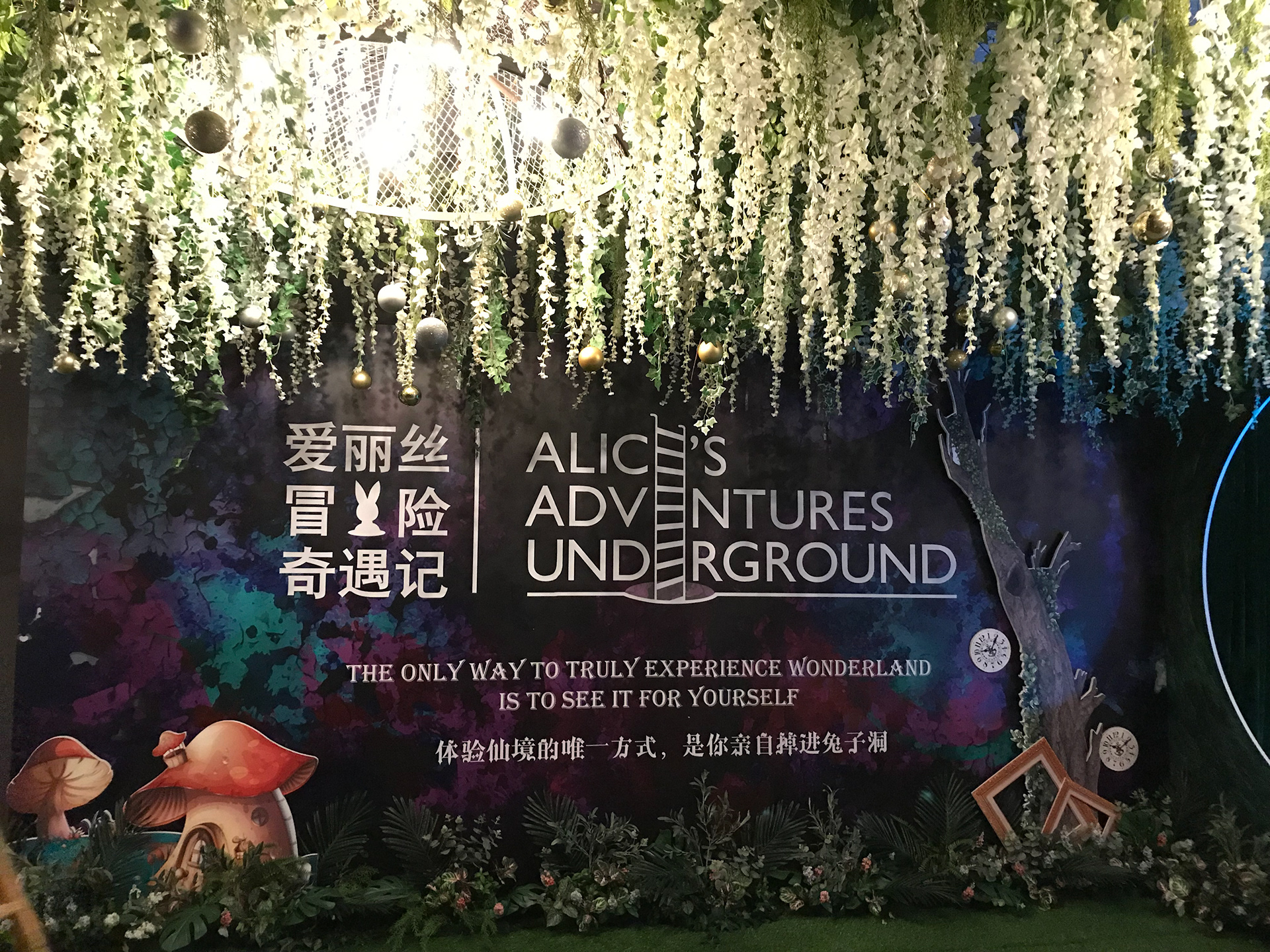 ALICE'S ADVENTURES UNDERGROUNG 2019-15