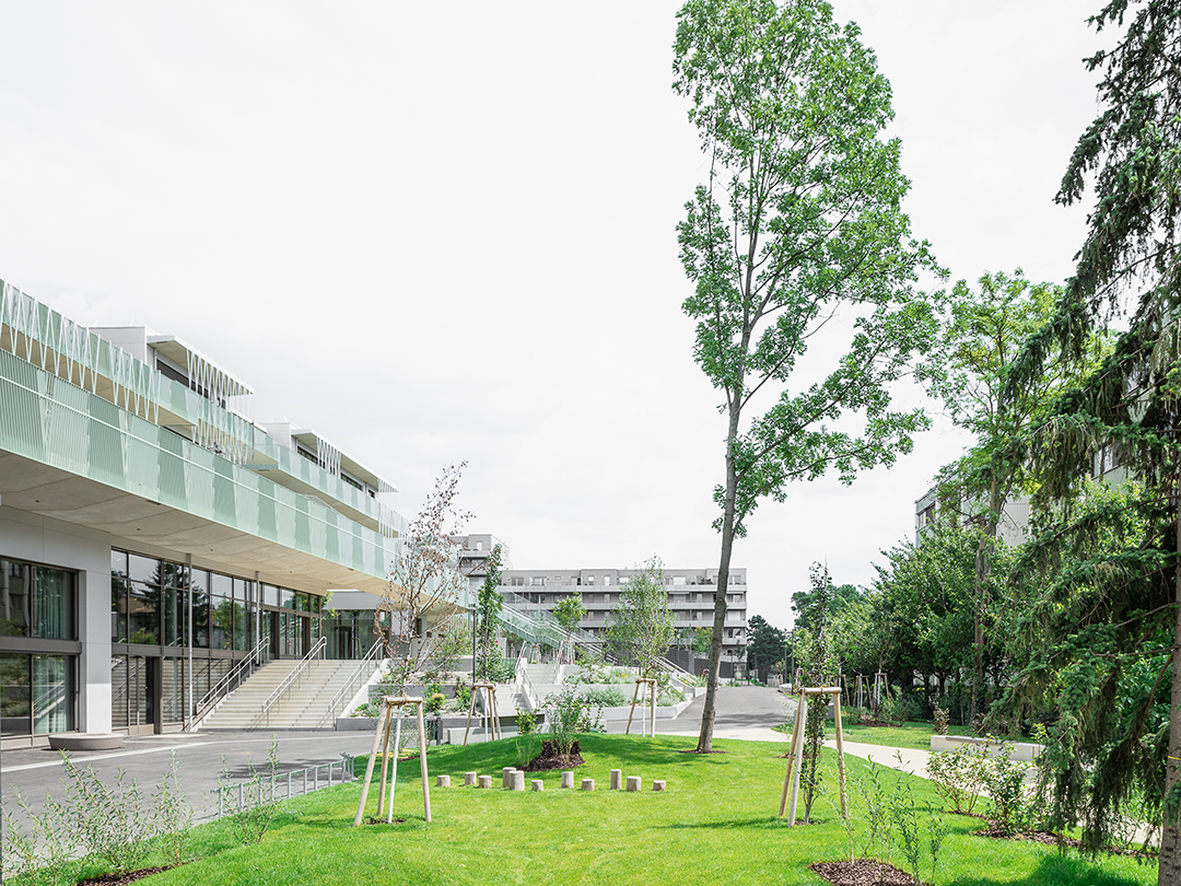 全龄的阶梯式校园：奥地利维也纳学校综合体 / SHIBUKAWA EDER Architects-6