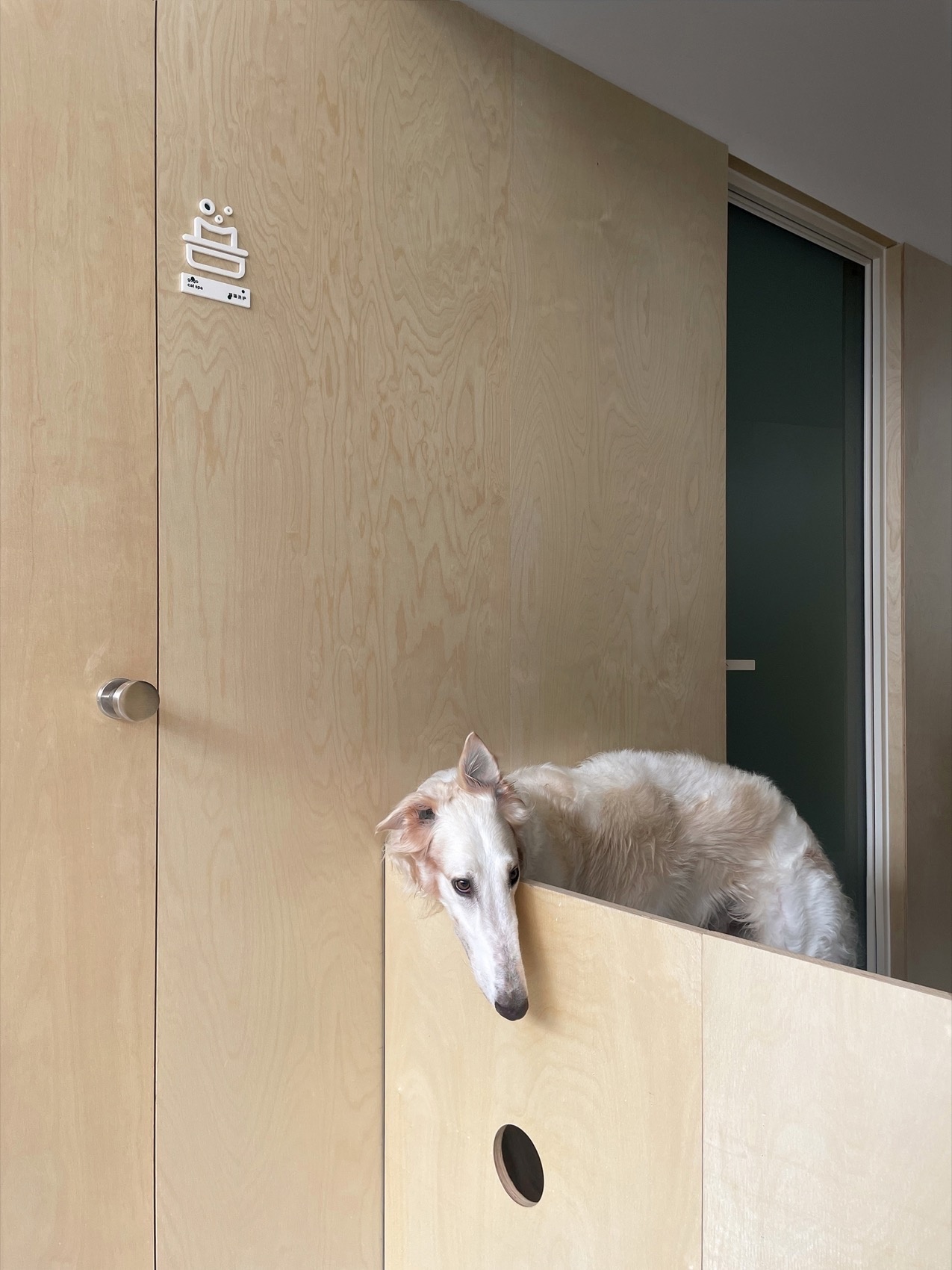 gogoland丨中国惠州丨Informal异规设计-77