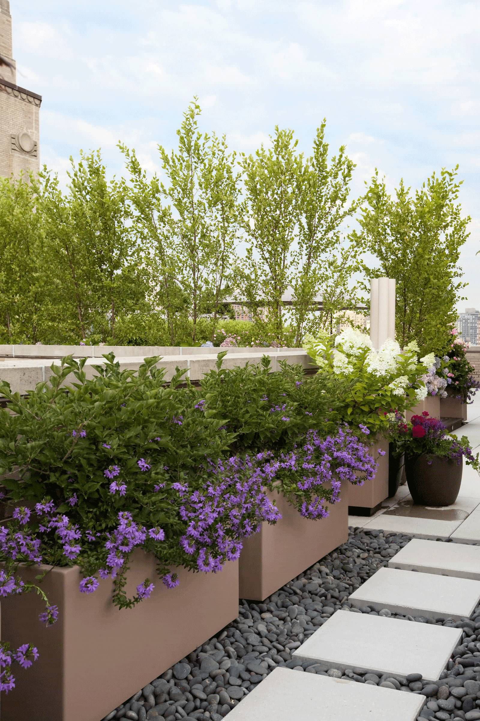 屋顶花园设计,打造城市中的绿洲-30